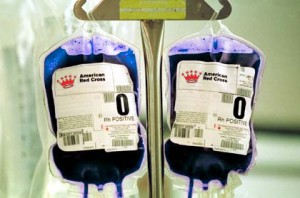 Se buscan donantes de sangre azul | El Mundo Today