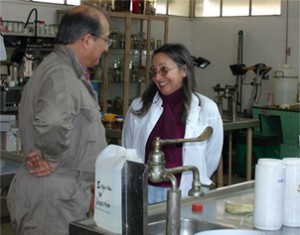 Crean vida sexual en un laboratorio