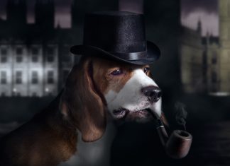 Un perro investiga la muerte de otro