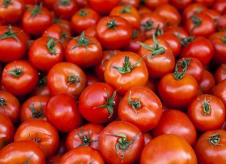 Los tomates ya no saben a nada