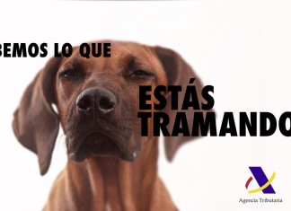 «Sabemos lo que estás tramando», nueva campaña de Hacienda