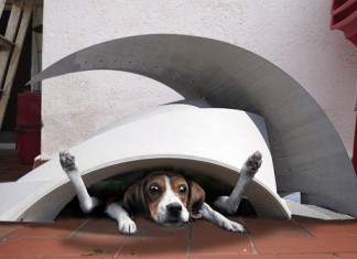 Los bomberos rescatan a un perro atrapado en una caseta diseñada por Santiago Calatrava