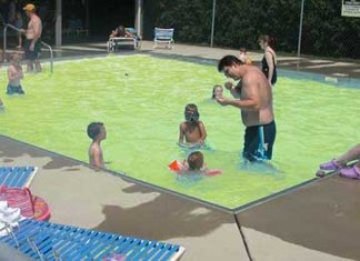 Dos bebés tiñen de amarillo una piscina