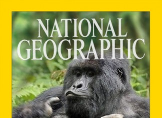 National Geographic escoge al primate más sexy del año