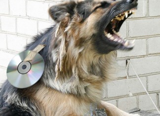 La portada del nuevo disco de Iron Maiden es un perro rabioso con el CD pegado en el lomo