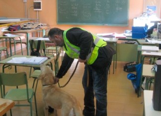 La Guardia Civil intercepta varios camiones con chuletas para Selectividad