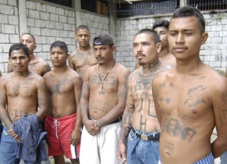 Los Latin Kings ganarían las elecciones generales si se celebrasen ahora