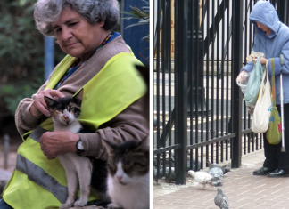 La loca de los gatos y la loca que da de comer a las palomas se reúnen para acordar un único plan estratégico