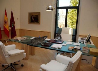 Una rata de dos kilos toma el mando del Ayuntamiento de Madrid