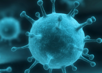 El virus de la gripe, nervioso porque todavía no tiene plan estratégico para este invierno