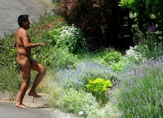 Liberan a un mono del zoo de Madrid porque ya había evolucionado a hombre