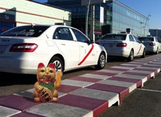 Gato chino dejado en la calle para 137 taxis