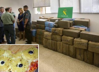 Desmantelada una red de falsas pizzas tropicales que no provenían del trópico