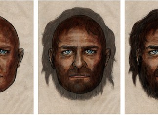 Un nuevo estudio revela que el hombre desciende del hijoputa