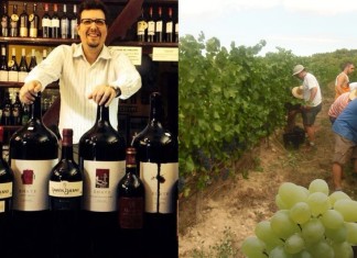 Aumenta la producción de uvas gigantes para esas botellas de vino gigantes que hay en los restaurantes
