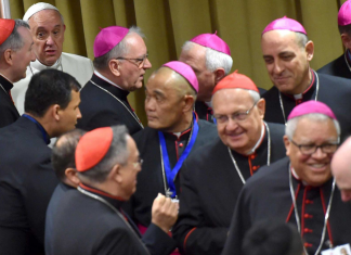 Los obispos del Vaticano lamentan que el Papa ande muy ocupado con sus cosas y no tenga tiempo para enseñarles a pescar