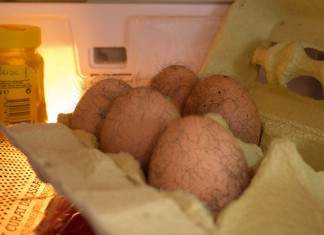 Los huevos caducados de la nevera ya empiezan a tener pelos rizados