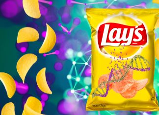 Lay’s presenta sus nuevas patatas fritas «sabor químico guay»