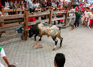 Cancelan el “encierro junior” de San Fermín porque los bebés no llegan a golpear a los toros con los diarios