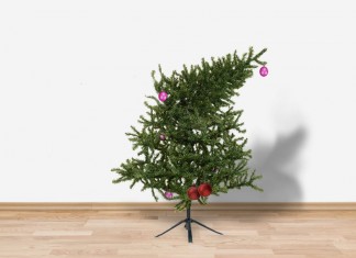Doblan un árbol de Navidad de una patada en las bolas