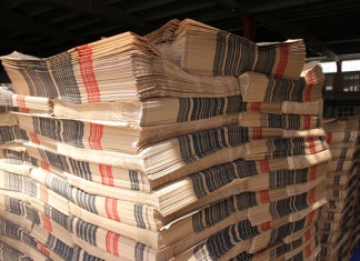 Los salmones, en peligro de extinción por culpa de las páginas de economía de los periódicos