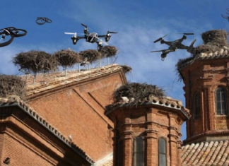 Los drones empiezan a hacer nidos en los tejados de las iglesias