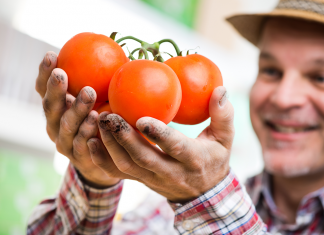 Frutero con las uñas negras sólo vende productos recogidos por él mismo