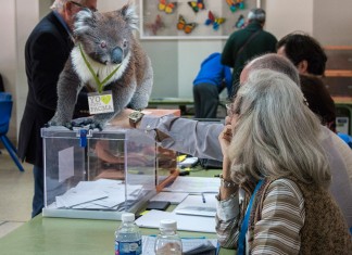 El koala que lidera PACMA ataca a una vocal de mesa