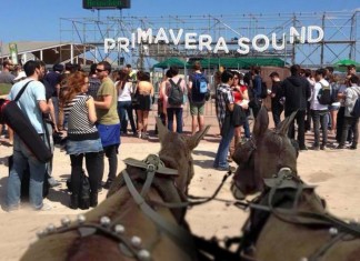 Fallecen ocho caballos en el primer día de romería del Primavera Sound