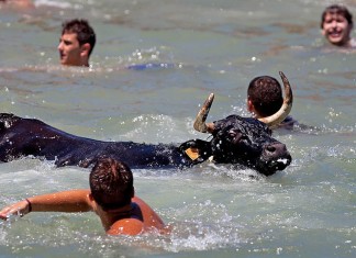 Tordesillas celebrará el Toro de la Vega en aguas internacionales