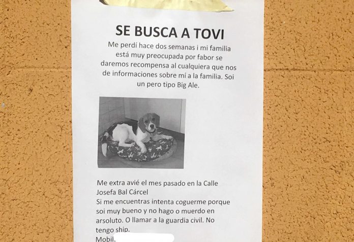 tovi