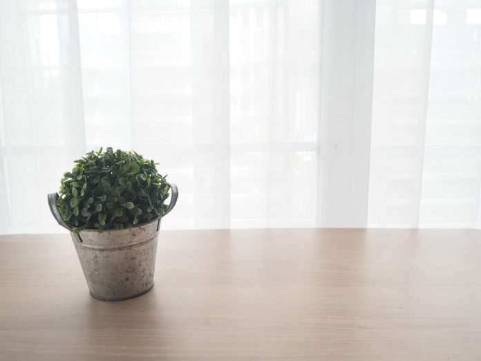 wood office table with free copy space for text and small garden tree on pot on white drape texture background on sunny day.
