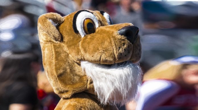 Mascot Head