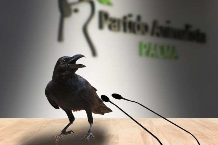 pacma