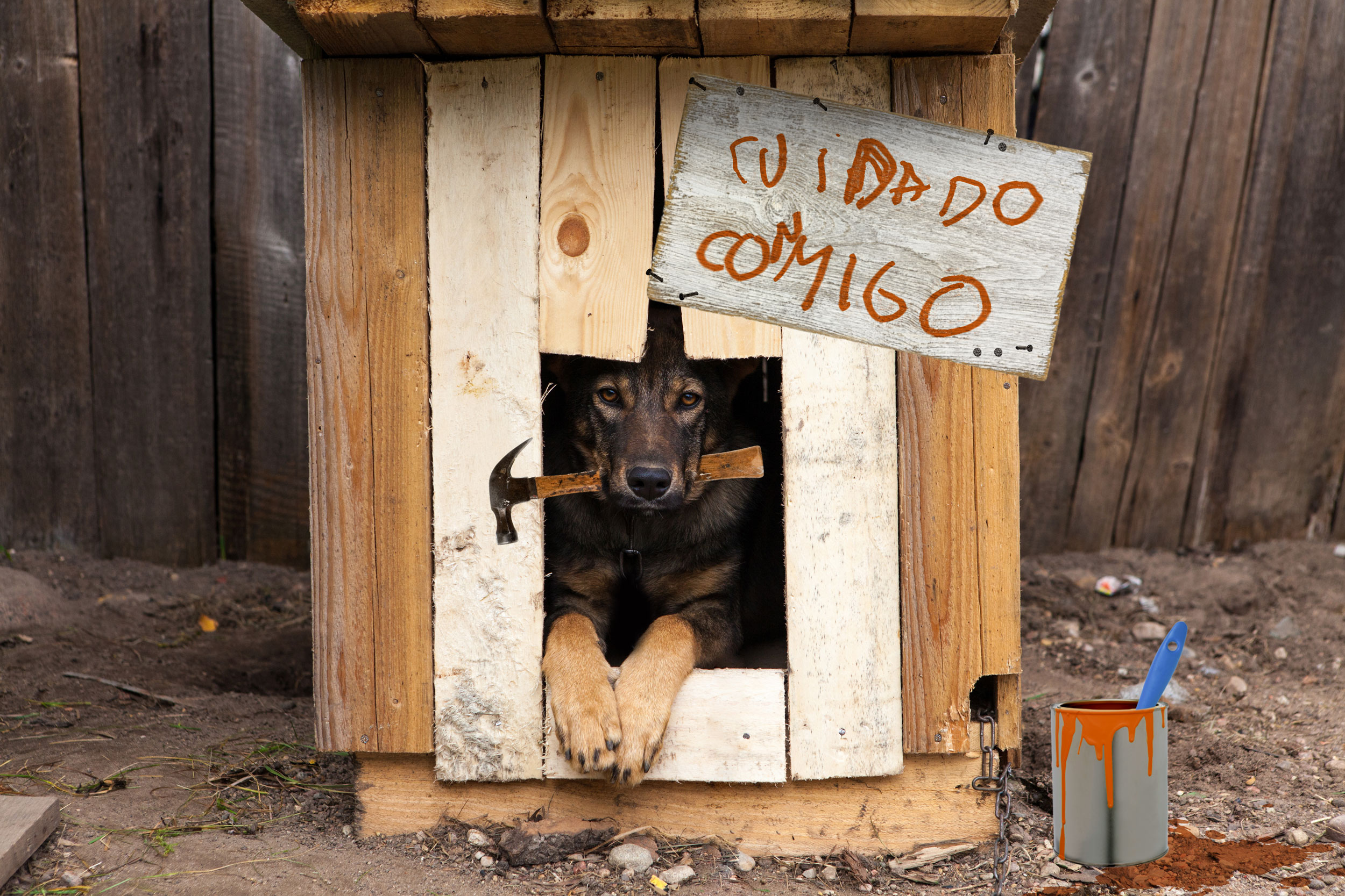 Guardia Civil on X: Ante carteles tipo: Cuidado, perro peligroso  Nosotros preferimos los de: Cuidado con el perro, puede quererte  #YoSiPuedoContarlo  / X