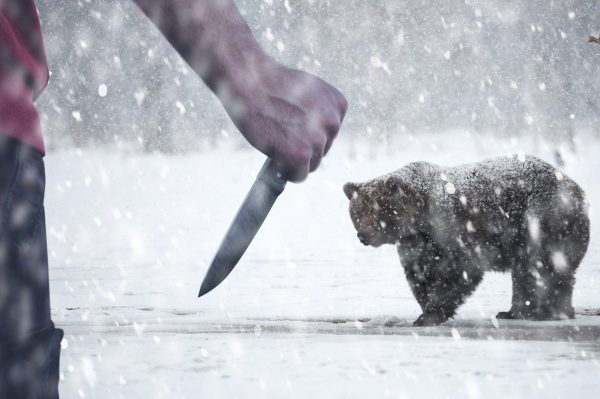 oso-600x399.jpg