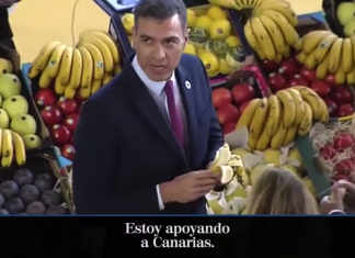 Tras sufrir un cólico provocado por la ingesta de un plátano, Pedro Sánchez retira todas las ayudas a Canarias