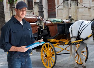 La llegada del fontanero en una calesa tirada por seis caballos hace temer que cobrará el desplazamiento