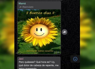El error de una madre al mandar por WhatsApp un meme de «Buenos días» a las nueve de la noche provoca ‘jet lag’ a toda una familia