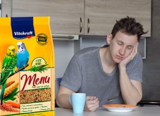 Descubre que lleva toda la vida desayunando alpiste creyendo que el periquito de la caja era la mascota de los cereales