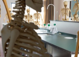 Un profesor de Naturales psicópata tiene 20 esqueletos humanos en el laboratorio