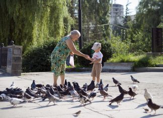 Le roba el bocadillo a su nieto para dárselo a las palomas