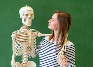 Multan a una profesora de Educación Sexual que se acostaba con el esqueleto de Ciencias delante del alumnado