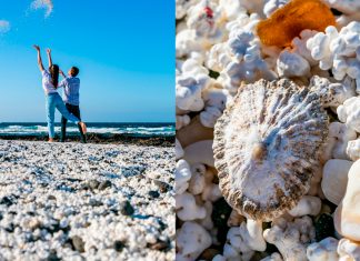 Aparca al sol un camión cargado de maíz y al volver encuentra una montaña gigante de palomitas