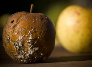 Alucina con el espectacular cambio físico de esta manzana Golden