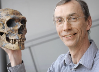 Nobel de Medicina para el hombre que descifró el ADN de los neandertales con muestras de saliva de su cuñado Alfonso