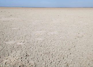 Acusan de andalufobia a la Junta de Andalucía por condenar a Doñana a la desaparición