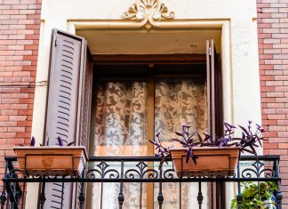 ¿Vives en Madrid? Estas son las 5 mejores plantas que poner en tu balcón y salvar el clima