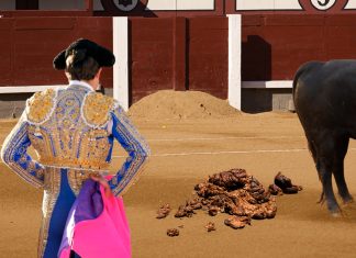 La nueva Ley de Bienestar Animal multará con 500 euros a los toreros que no recojan las cacas de los toros
