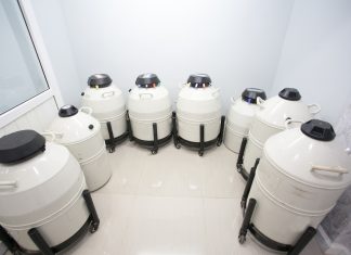 Una banda de óvulos atraca un banco de semen y se lleva mil millones de espermatozoides